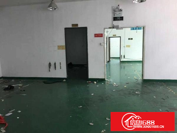 丹竹头地铁D出口150，280;500平等厂房招租