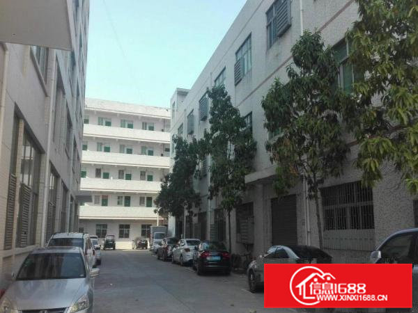 五联独院三楼业主厂房1550平米水电齐全，有电梯