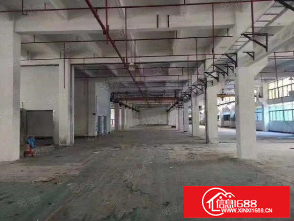 出租龙华大浪原房东一楼楼上厂房200至1000平出租有红本