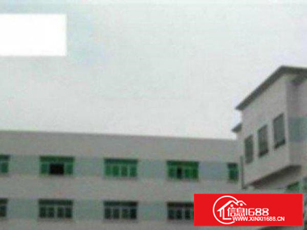 高埗大型工业园内分租800平一楼