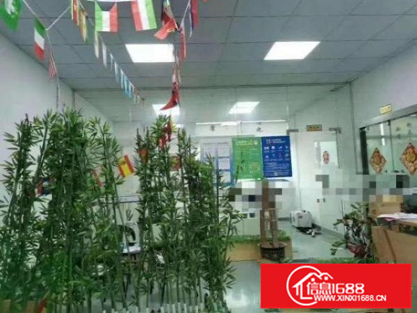 观澜主干道大型园区一楼700平，精装修办公室