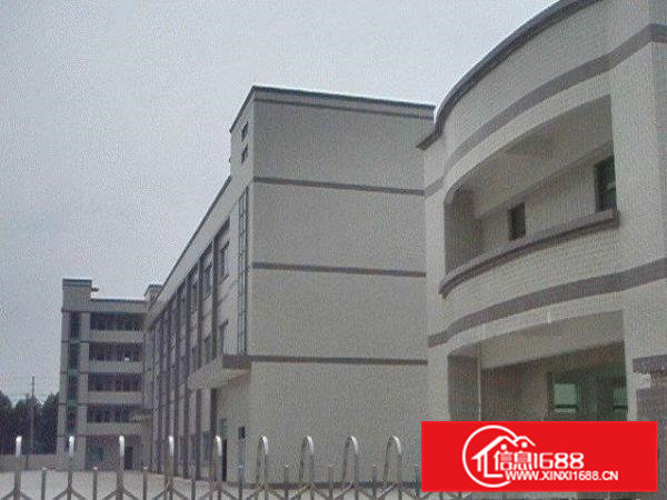 横沥新空出独院厂房招租厂房3700㎡带办公室装