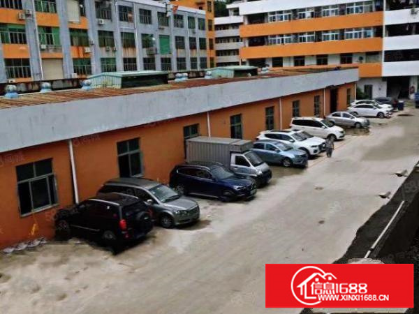 （急租）横岗四联530平整层带装修厂房仓库出租