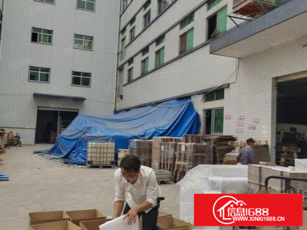 东莞企石工业园厂房一二楼出租,每层面积2600平米可分租