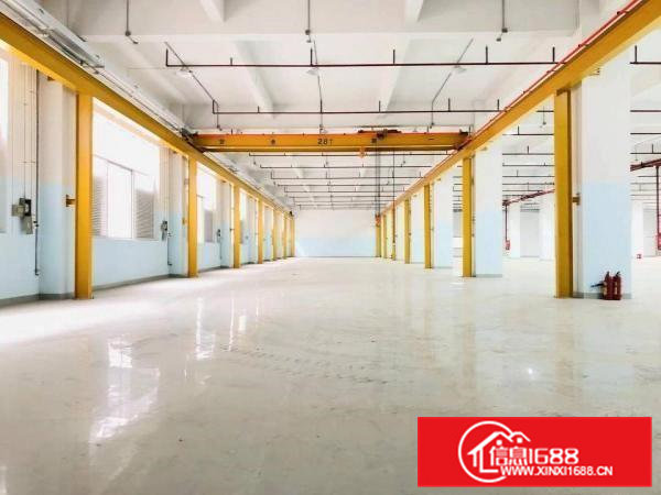 全新红本厂房，现成行车地坪漆豪华装修现成配套，空地超大！