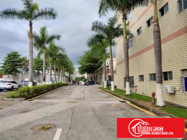 大浪华兴路，原房东1000到2000平米厂房出租