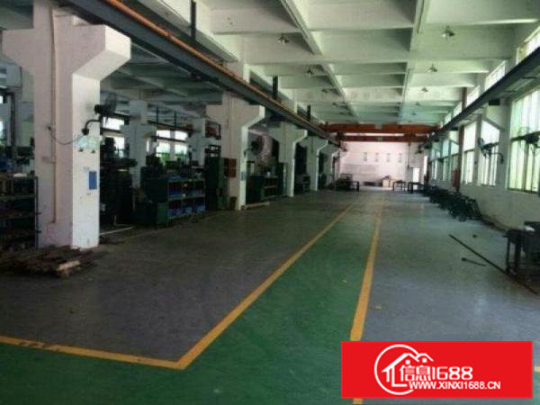 独院厂房出租总面积10000平米