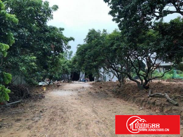 塘厦林村德州城旁全新厂房400平米空地数百平方