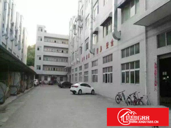 横岗独院厂房5500平出租龙岗招租安良六约西坑荷坳