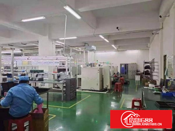 塘厦林村太阳城塑胶电子产业园厂房招租2400平方，水电齐全