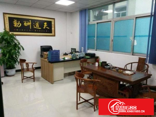 东莞市东坑镇新出单一层1300平方，滴水7.5米