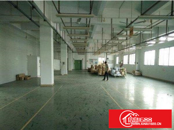 出租龙岗区吓坑新出高大上独院厂房6000方