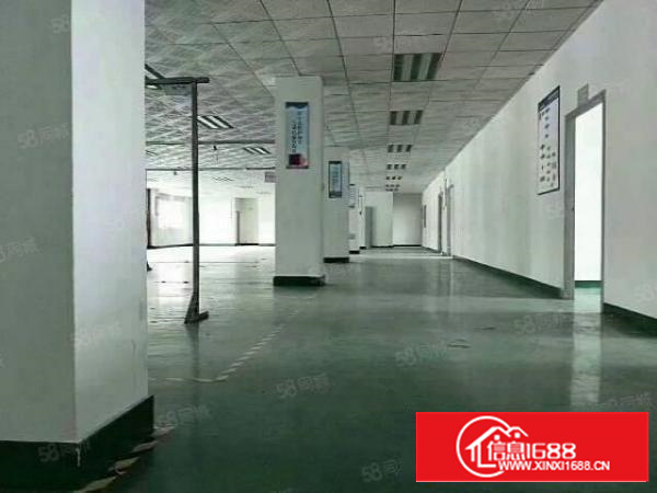 今日更新茶山厂房出租独院厂房招租