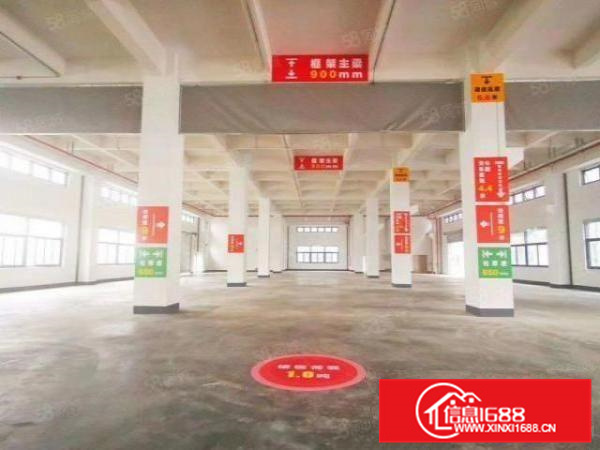 三水乐平化妆品行业的福音530000平方大小可以分租