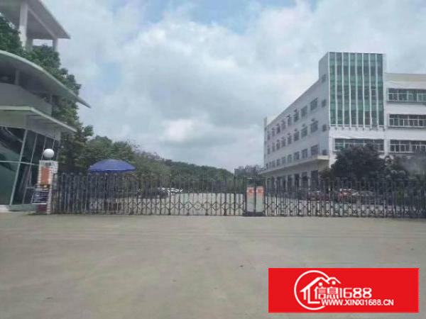 东莞塘厦大坪高速出口58000平漂亮厂房出租层高6.5米独院