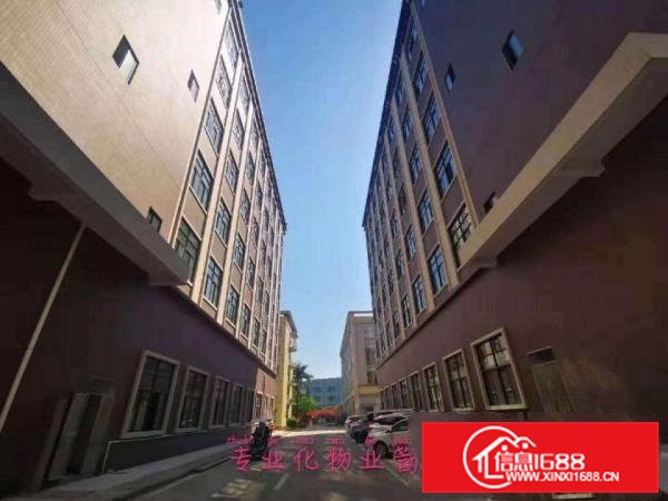 免租6个月政府扶持复工!真实有效!虎门高端产业园全新厂房分租