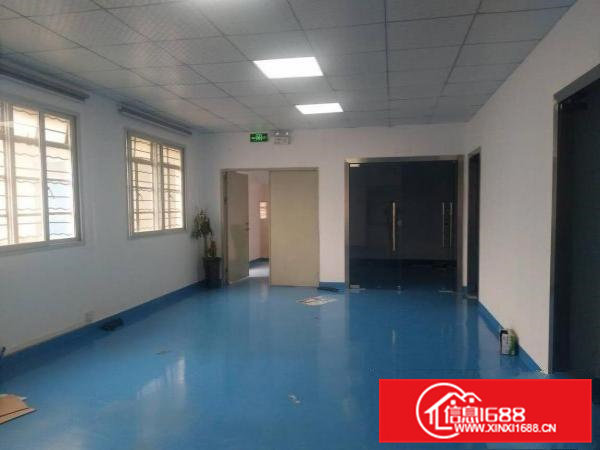 精品小独院，3楼整层600（送豪华装修）