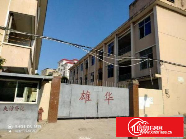 [坪山厂房]碧岭工业园原房东小独院1000平招租