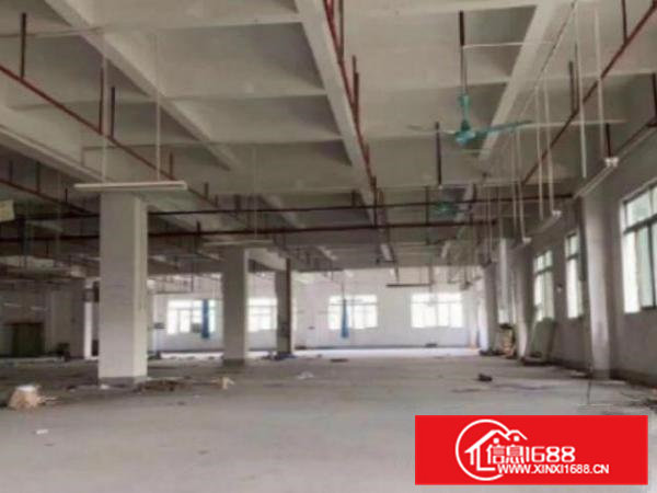 高埗独院厂房分租楼上1000平方出租带喷淋消防