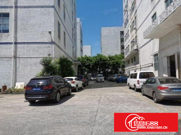 急租石岩料坑原房东红本厂房1500平带装修实际面积出租