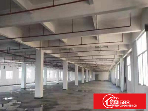 大岭山独院三层15000平方，可分租，可办环评