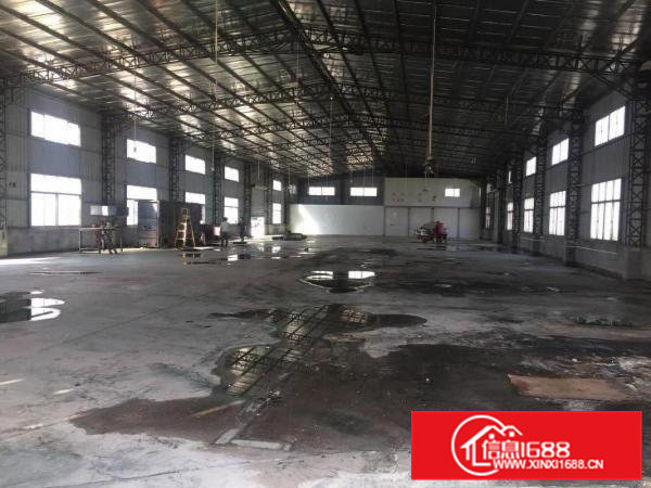 清溪三中原房东独院单一层滴水8米高钢构厂房1300平急租