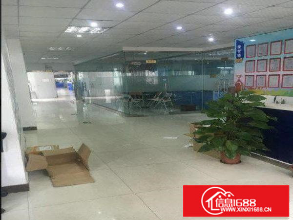 龙岗业主直租独院厂房6000平方可分租、带牛角