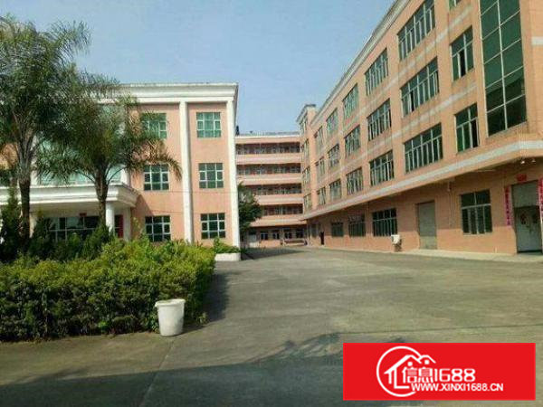 清溪青皇二楼650平方厂房铺满地坪漆