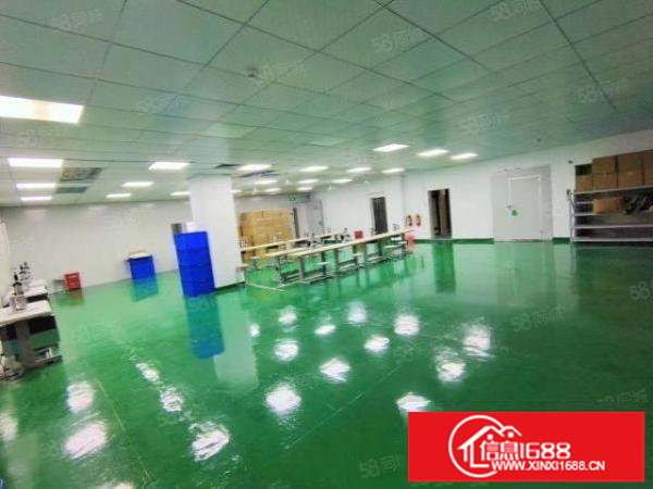 平湖辅城坳原房东红本厂房900平实际面积价格20精装修可分租