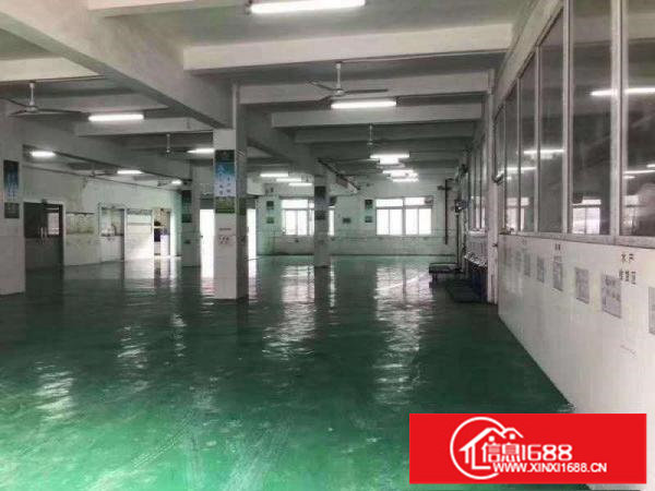 平湖白泥坑经典厂房，冷库出租信息汇460平方起租