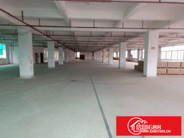 大朗高速出口处9成新独门独院12500平方厂房。