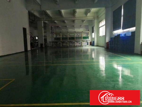 博罗福田标准楼上一整层1200平带豪华装修出租可分租