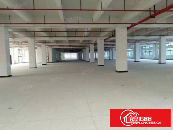 标准独院厂房国有土地可分租消防喷淋超大空地独立使用