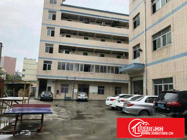 坪地新出红本厂房6000平方招租！