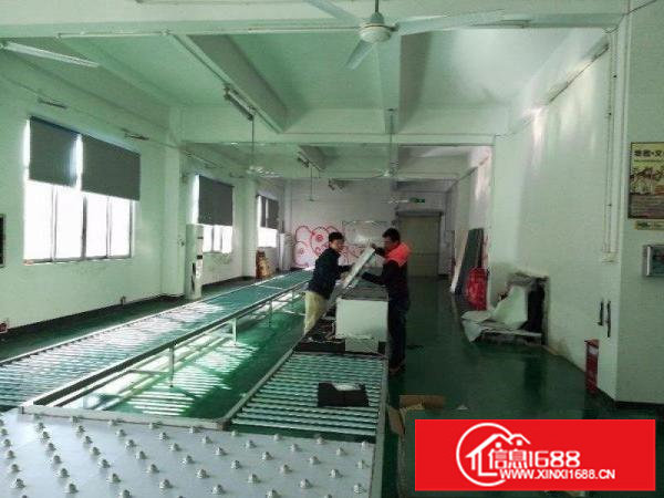 龙岗中心城新生工业园新出厂房1000平带装修