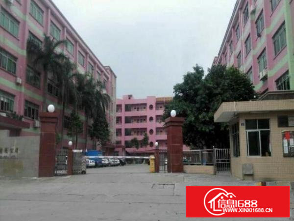 单一层一楼350平加宿舍急租8000元每月