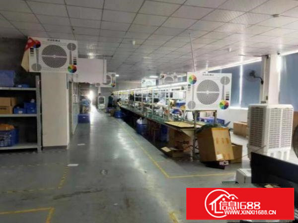 观澜高速口350平6500全包有前台带精装修办公室