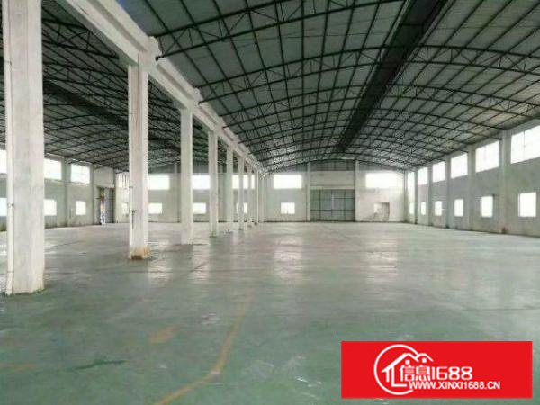 五一村单一层钢构厂房面积3100方空地1000方