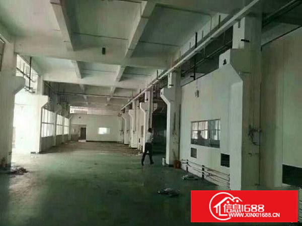 出租惠阳新墟一楼厂房680平方带牛角