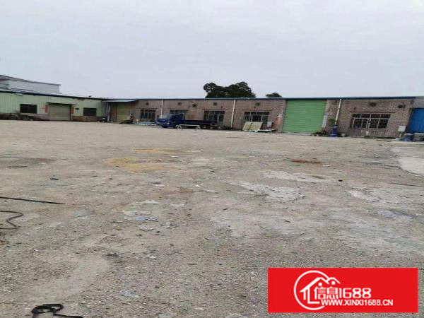 新出原房东独院厂房1000平方，靠大京九塑胶城