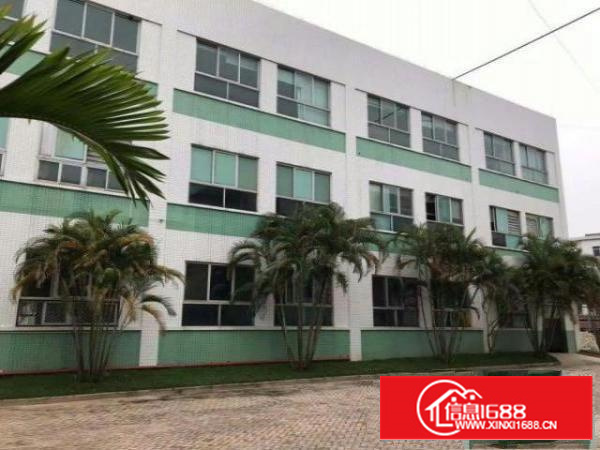 万江新出独院标准楼房厂房宿舍5600平方出租