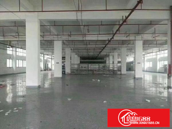 红本工业厂房出租4218平方可分租有消防送5个月免租期