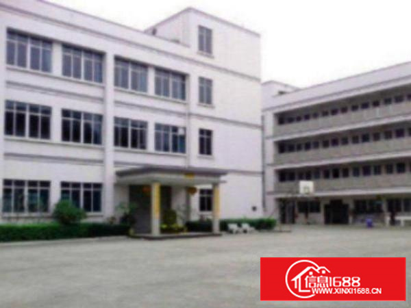 万江带现成装修标准一楼700或1900平方招租现成水电，宿舍