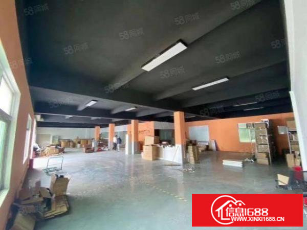 观澜新田新出精装修1楼750平厂房出租水电齐全无需转让费