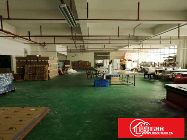 清溪三中高速路口新出四楼700平