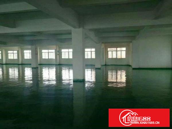 虎门大宁实业客转租楼上整层4300平豪华装修适合贸易生产