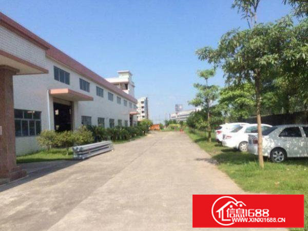 出租布吉布吉街经典单一层标准厂房700平方高6.5米精装修