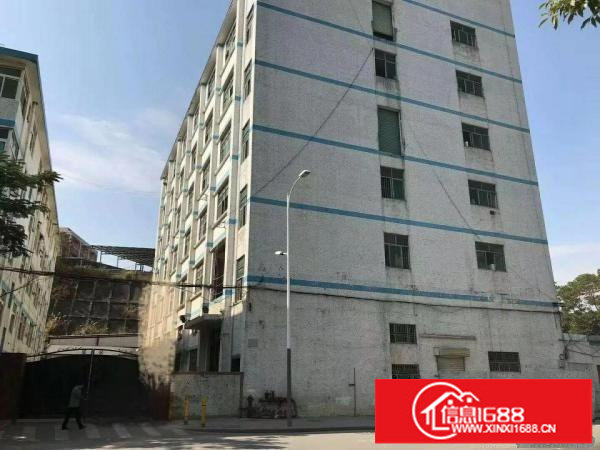 坂田新出独门独院厂房13000平米，可分租