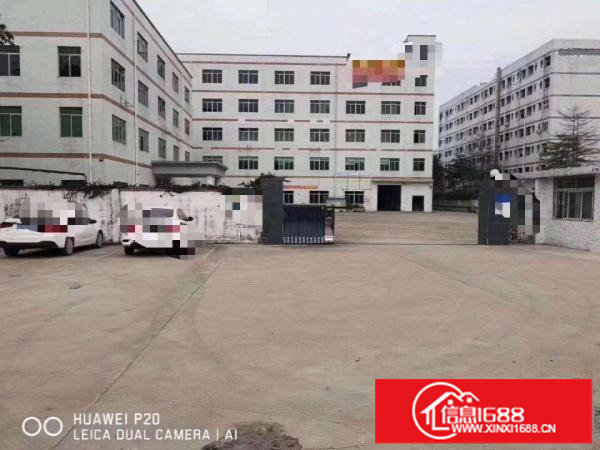 招租龙岗联园湖路新出原房东独院16000平600平起分