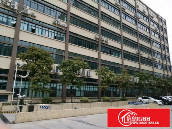 横岗荷坳地铁附近园区厂房红本一楼整层2278平方